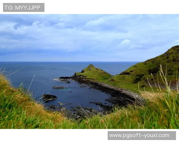 赏金船长和爱尔兰精灵-赏金船长与爱尔兰精灵的奇幻旅程-赏金船长和爱尔兰精灵